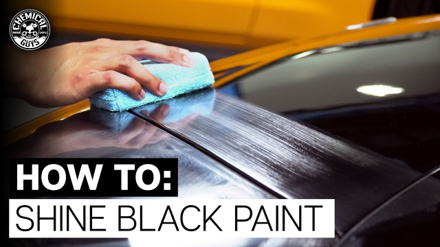 Chemical Guys  Black Light Hybrid Radiant Finish Car Wash Soap (16oz) – GO  Motorsports Shop