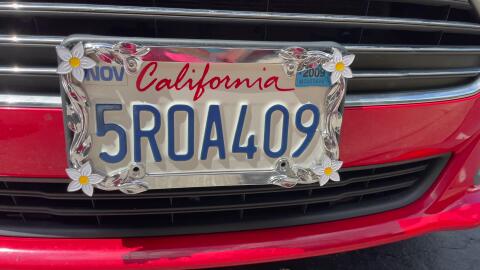 Chrome/Painted,Cruiser Accessories 19130 Daisy License Plate Frame
