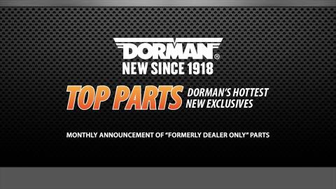 Dorman Right Loaded Rear Knuckle 698-412 - Advance Auto Parts