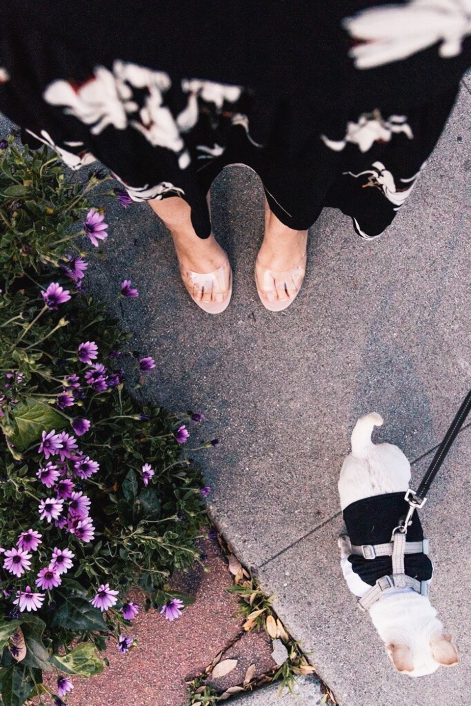 steve madden erin clear stiletto sandals