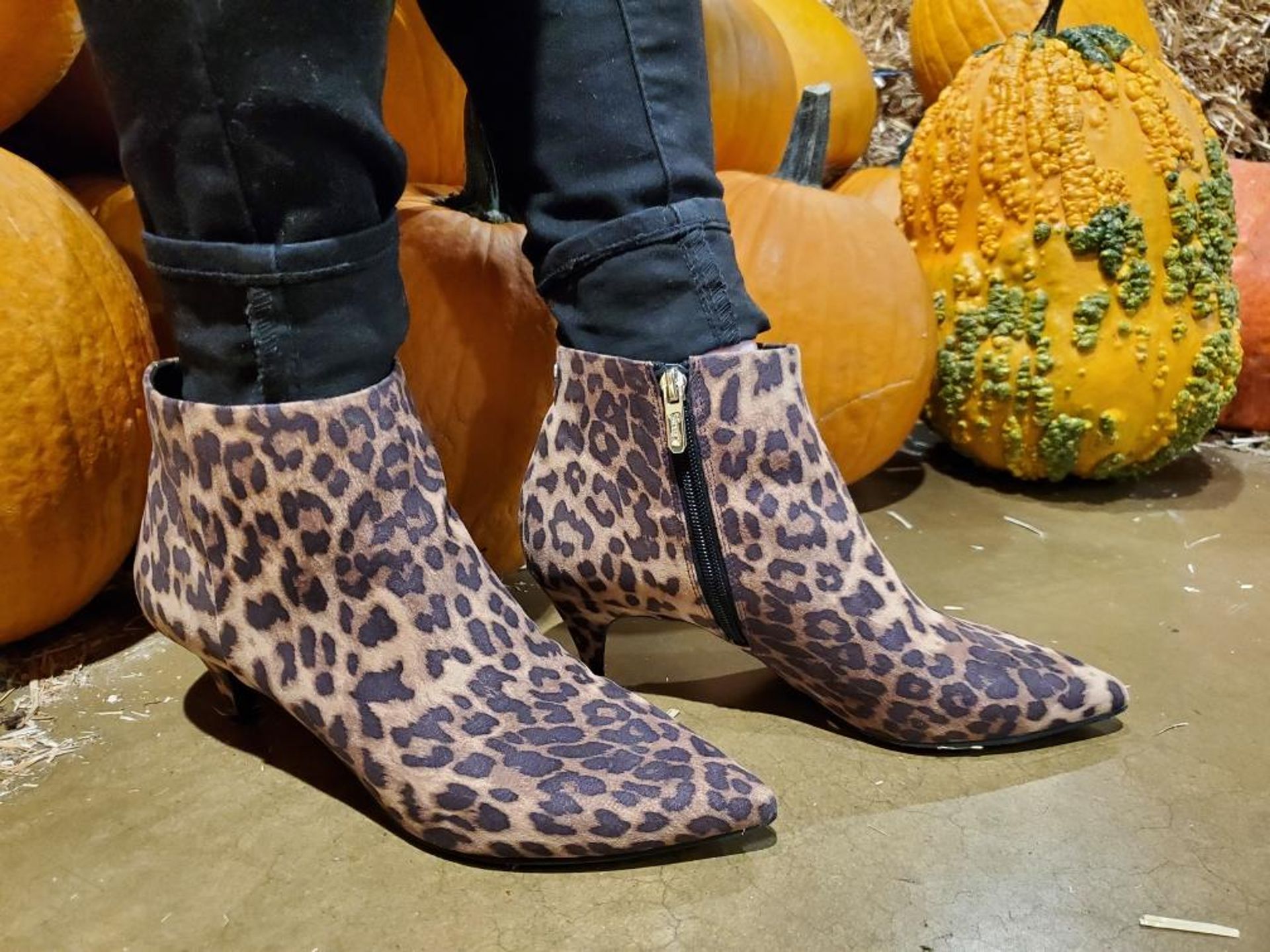 macys leopard booties