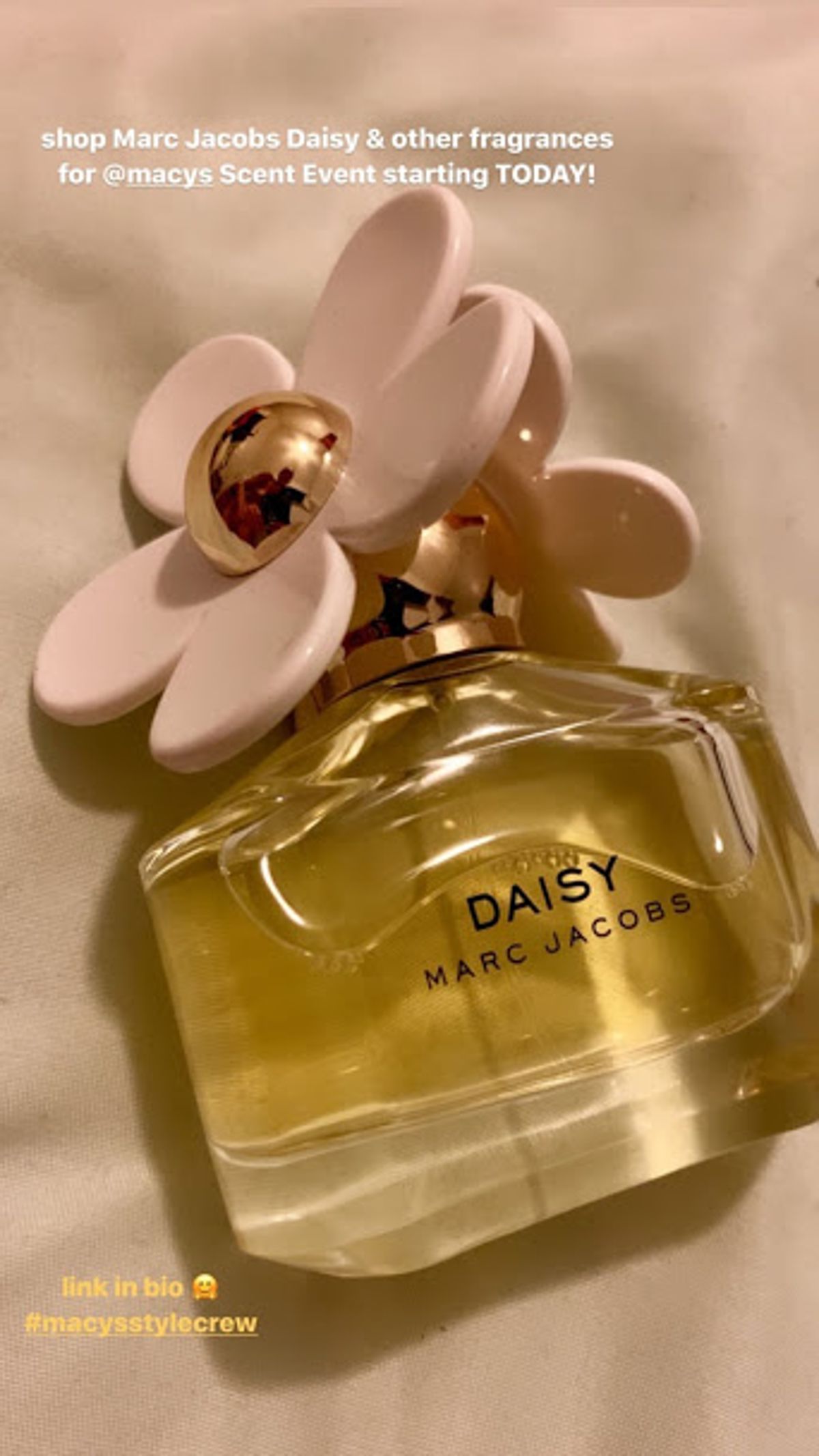 marc jacobs honey macy's