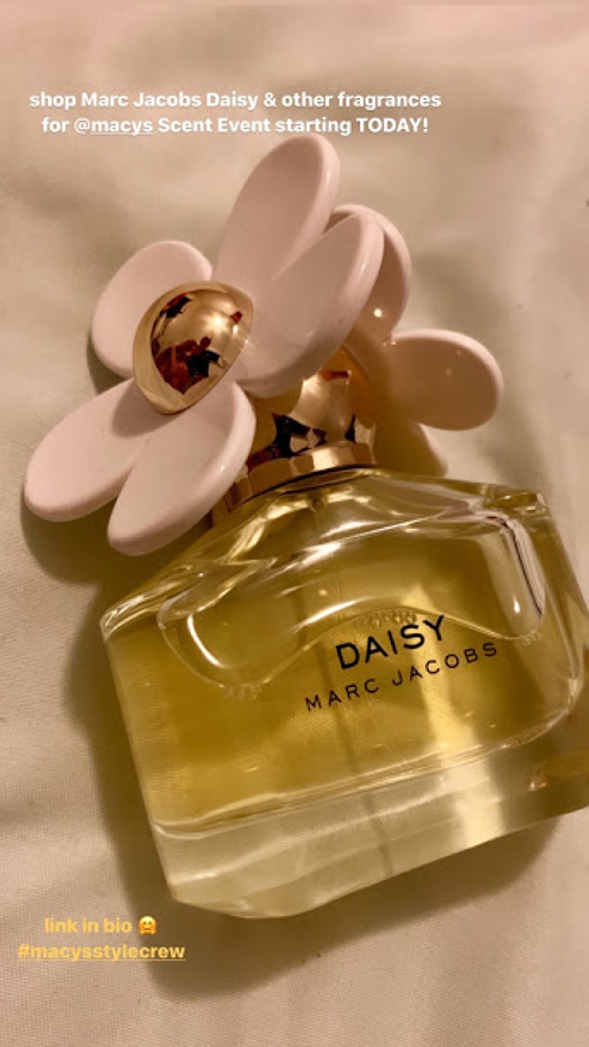 daisy lively perfume