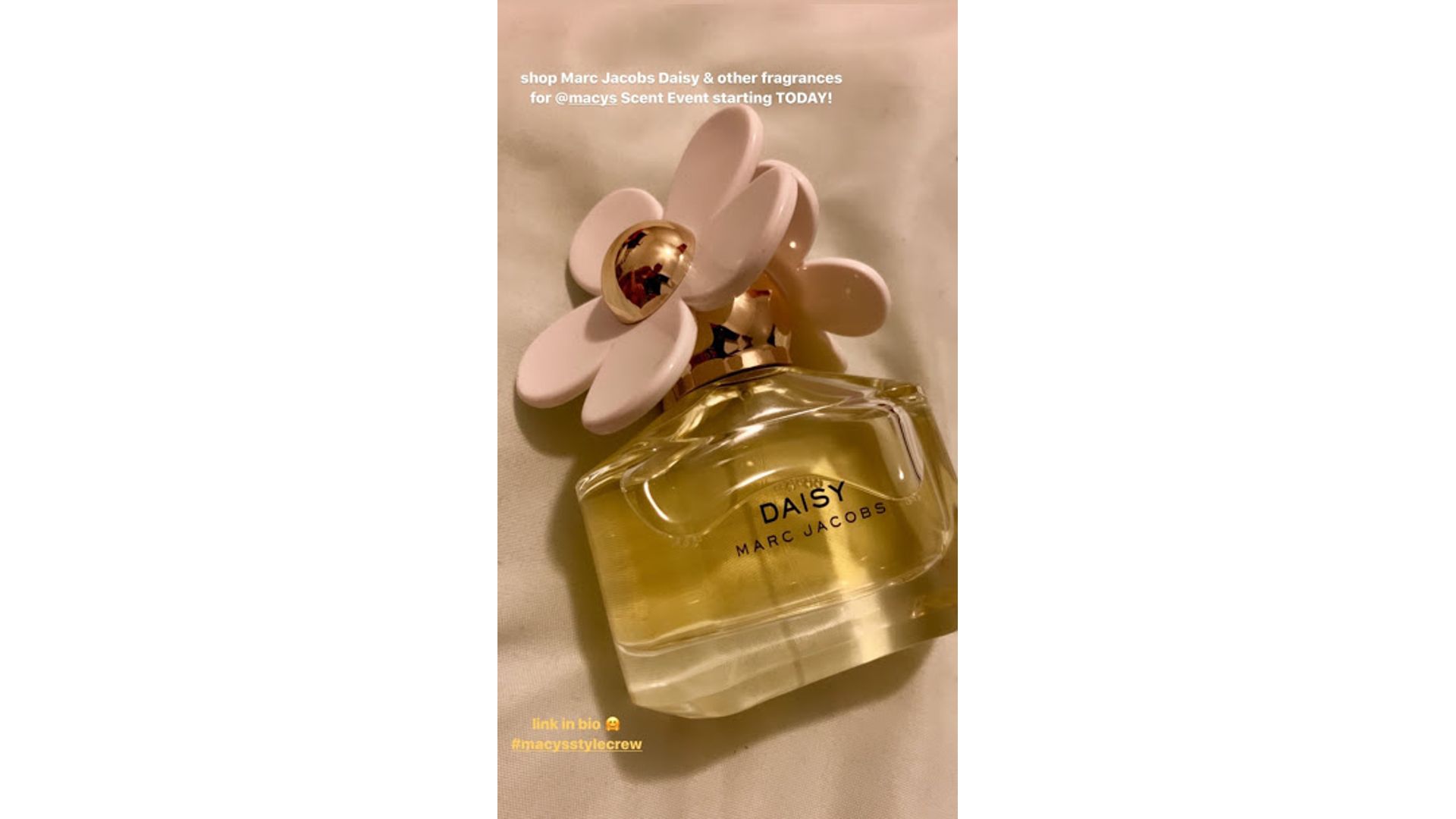 le femme perfume macys