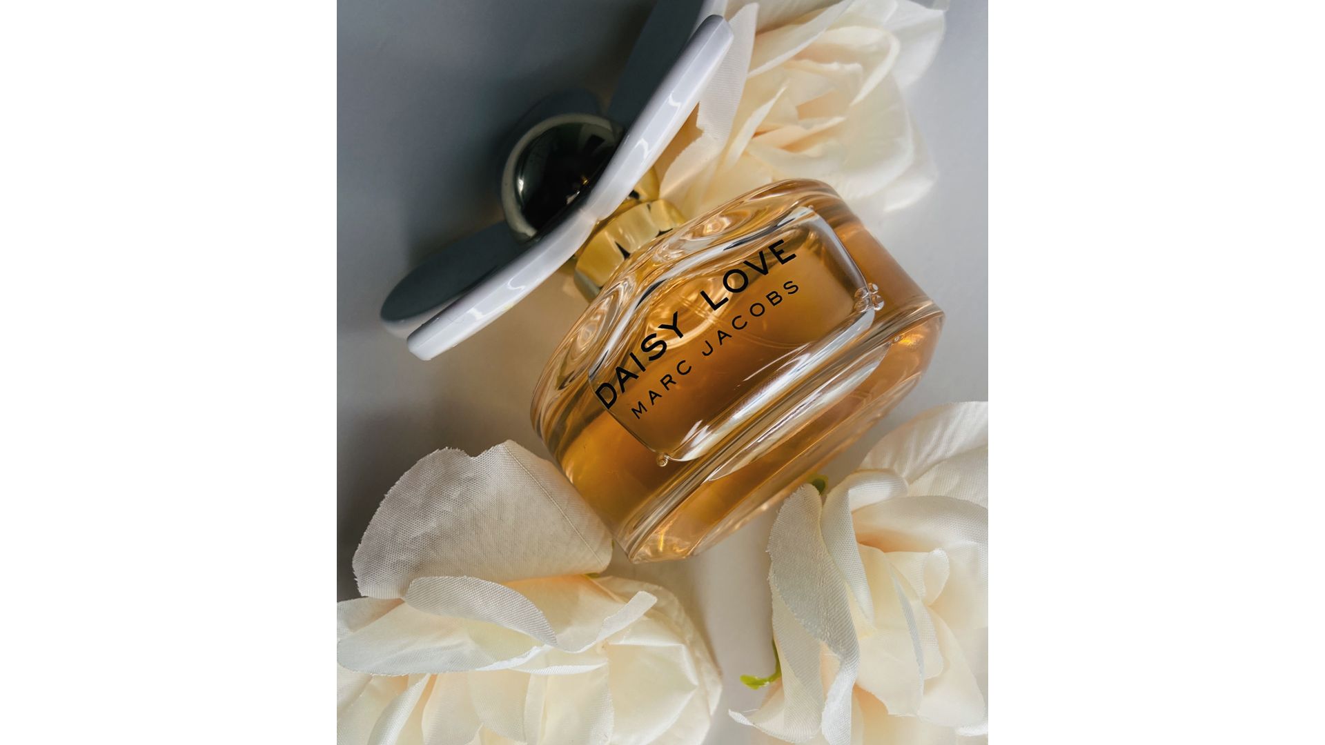 daisy love macy's