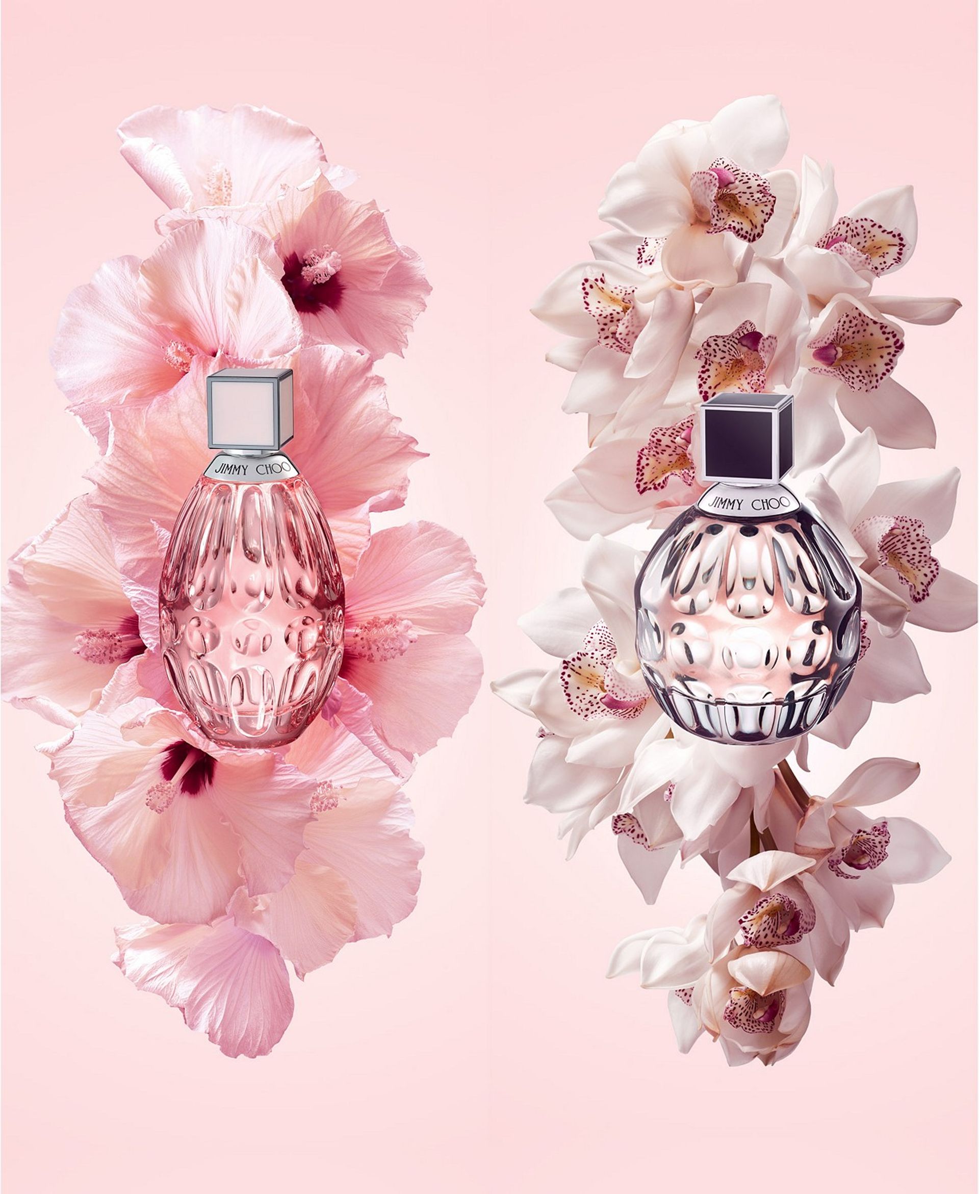 jimmy choo perfume macys