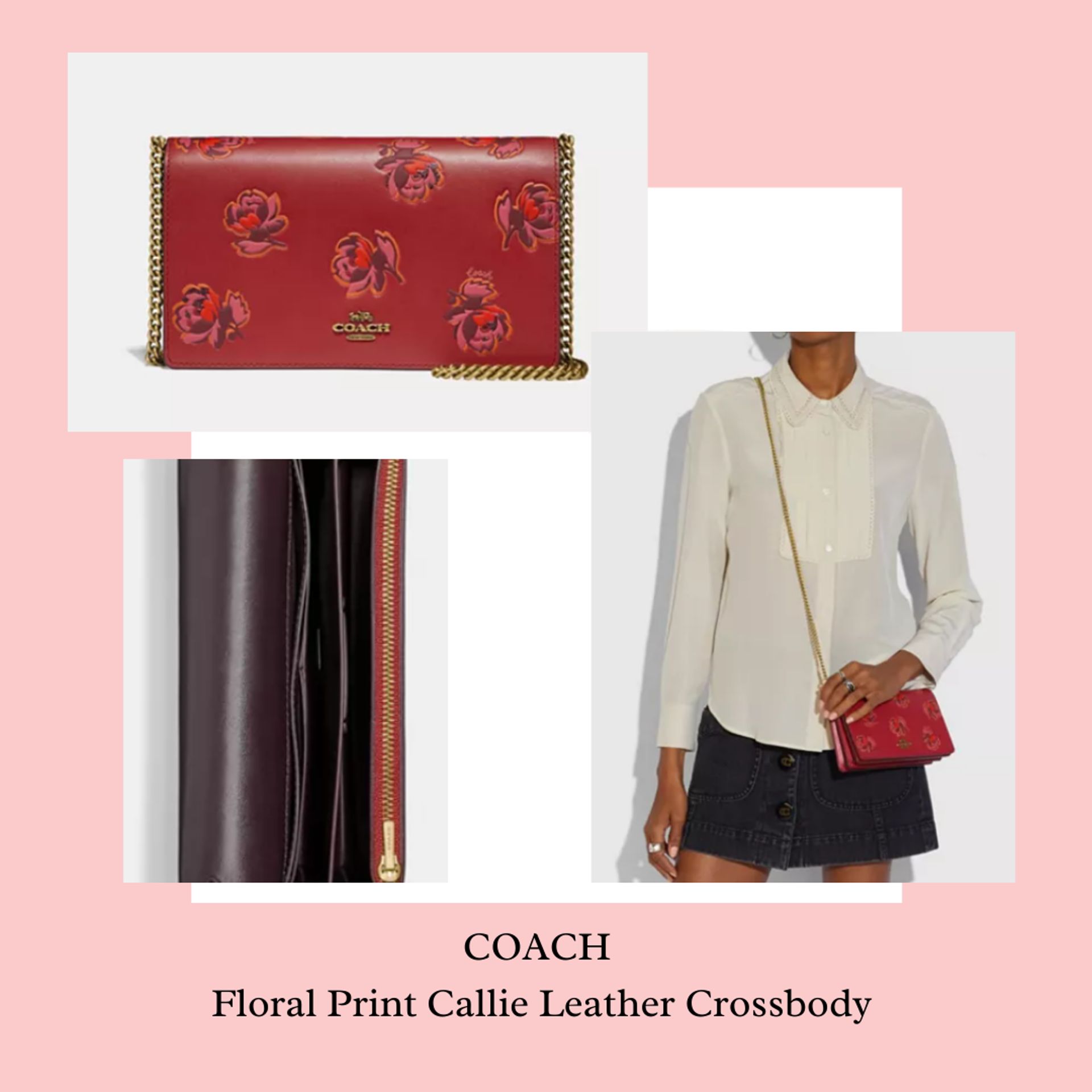 macys coach floral blush