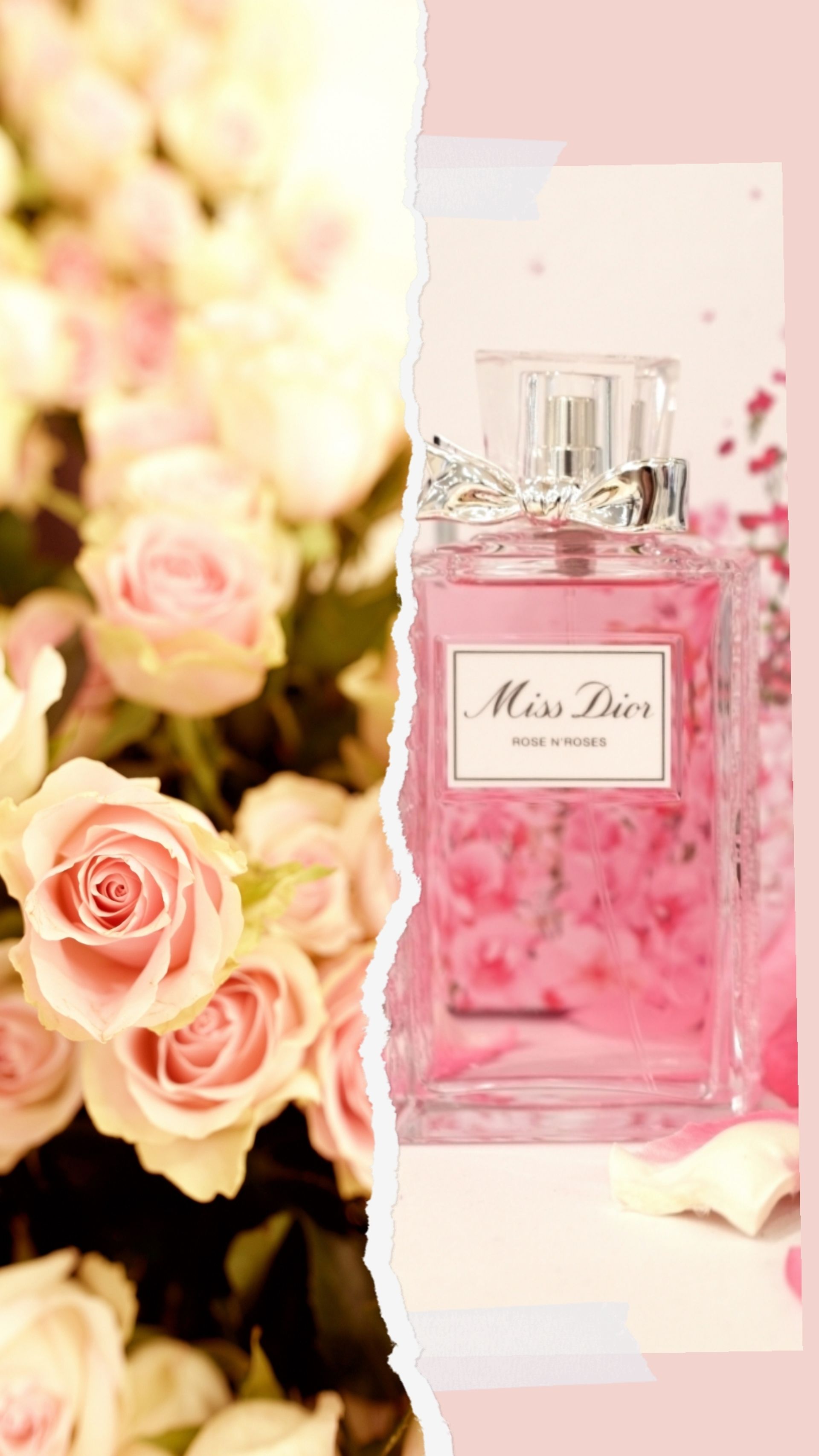 Dior rose n roses macy's Clearance