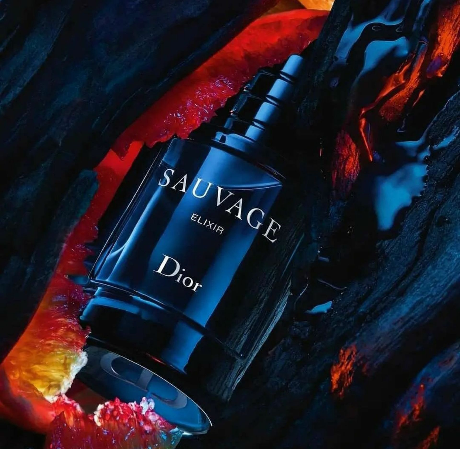 macys sauvage