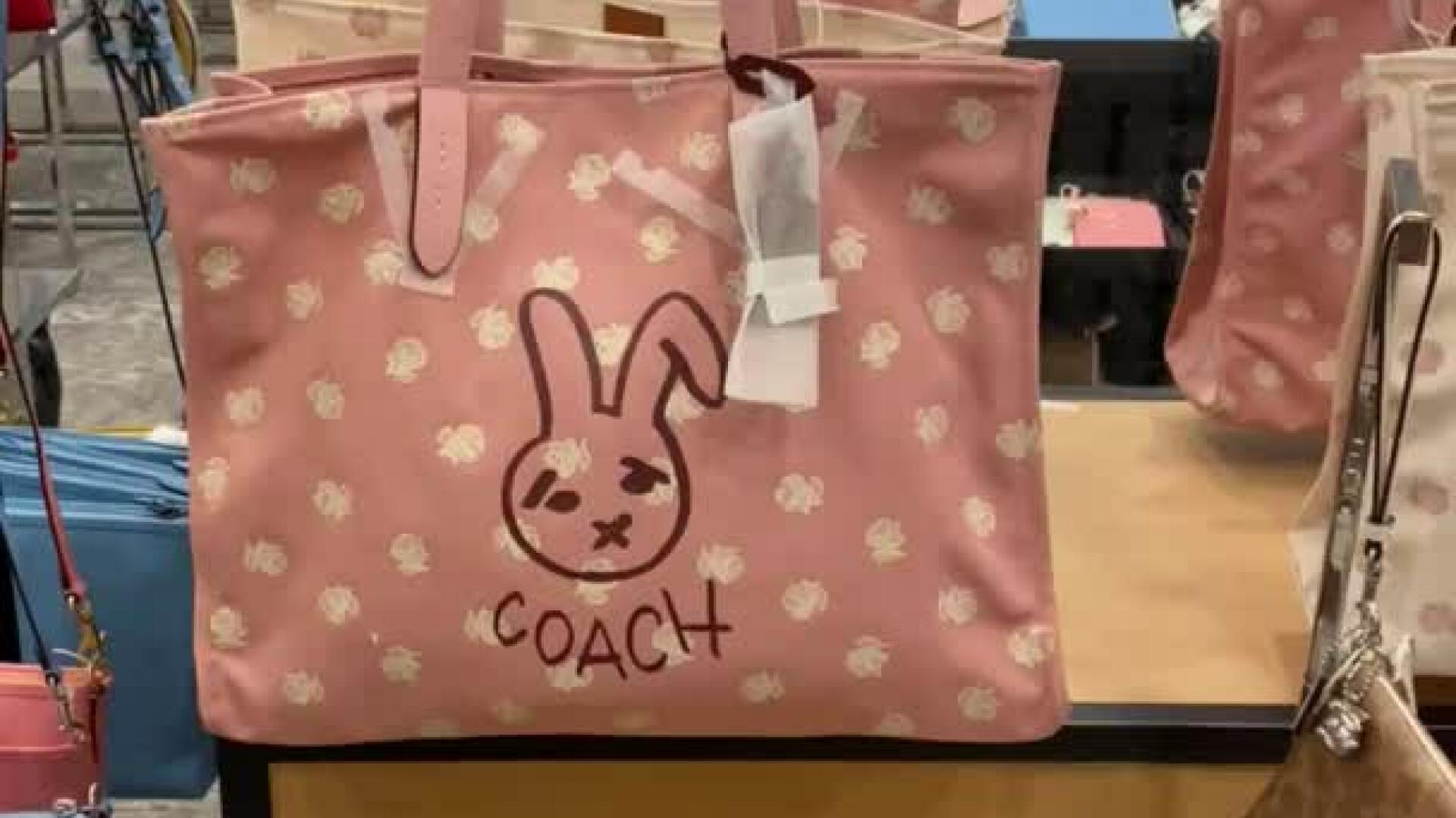 Macy's Style Crew | Coach bunny Tote