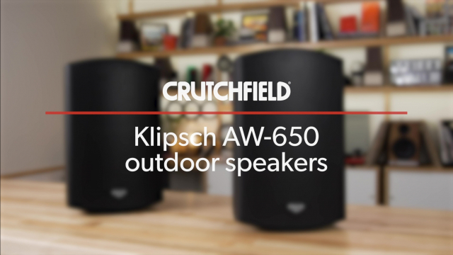 Klipsch AW-650 (Black) Outdoor speakers at Crutchfield