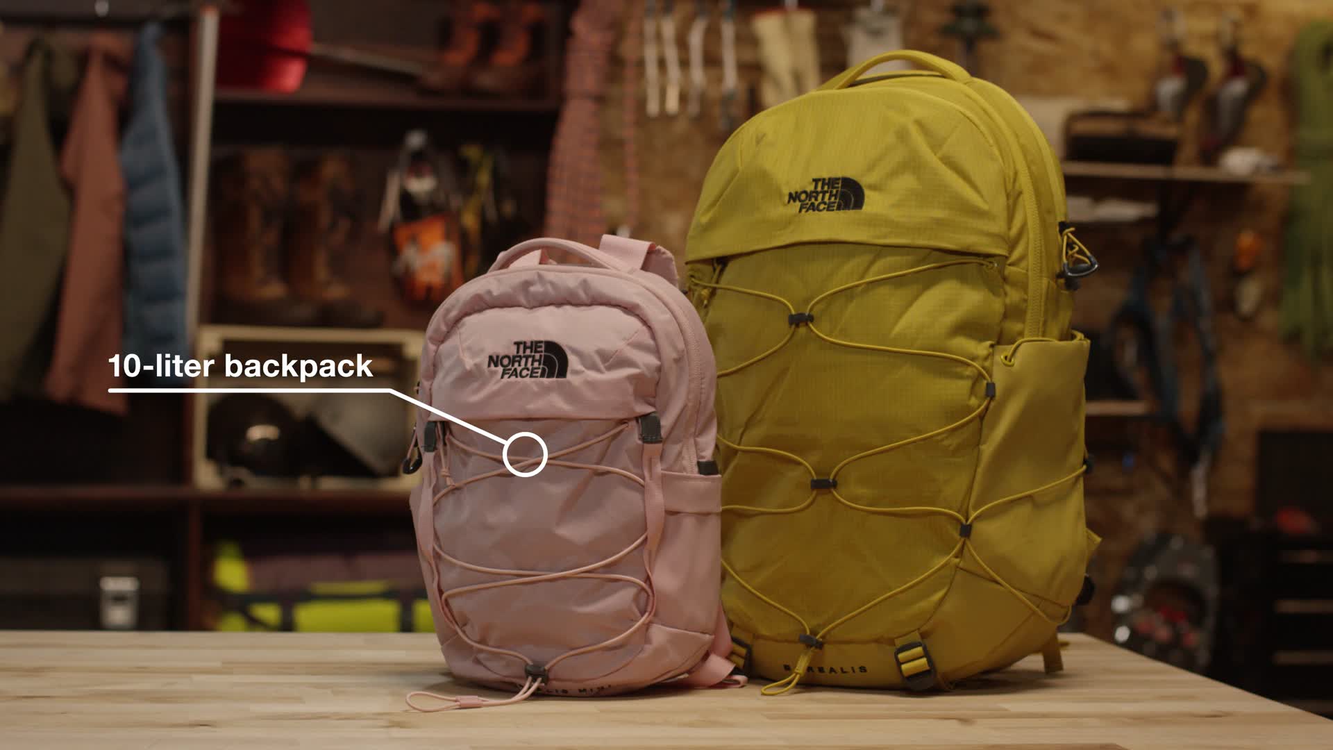 BOREALIS MINI BACKPACK The North Face Borealis Mini Backpack 10