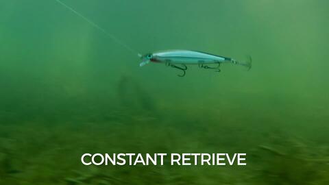 Rapala® Shadow Rap Swim Bait - view number 2