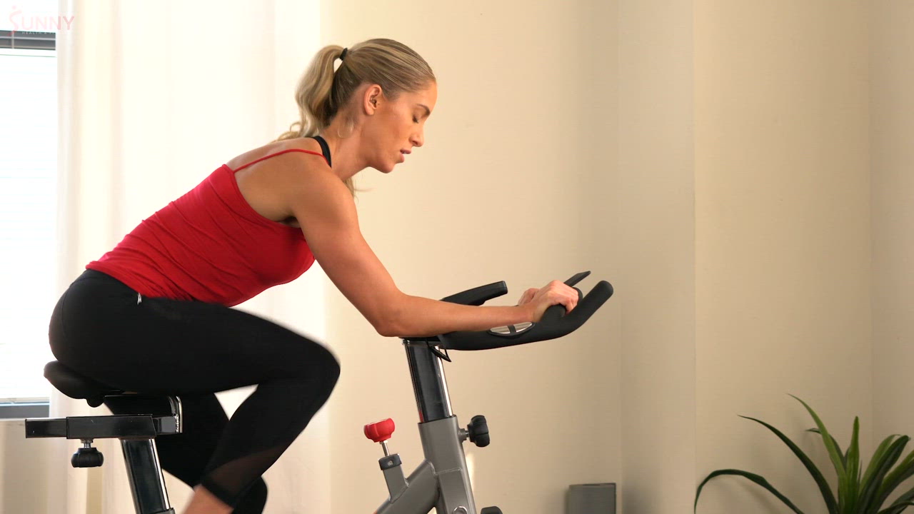 Sunny Health & Fitness Synergy Pro Magnetic Indoor Cycling Bike - view number 8