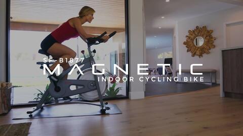 Sunny Health & Fitness Endurance Magnetic Belt Drive Indoor Cycling Bike                                                         - view number 8