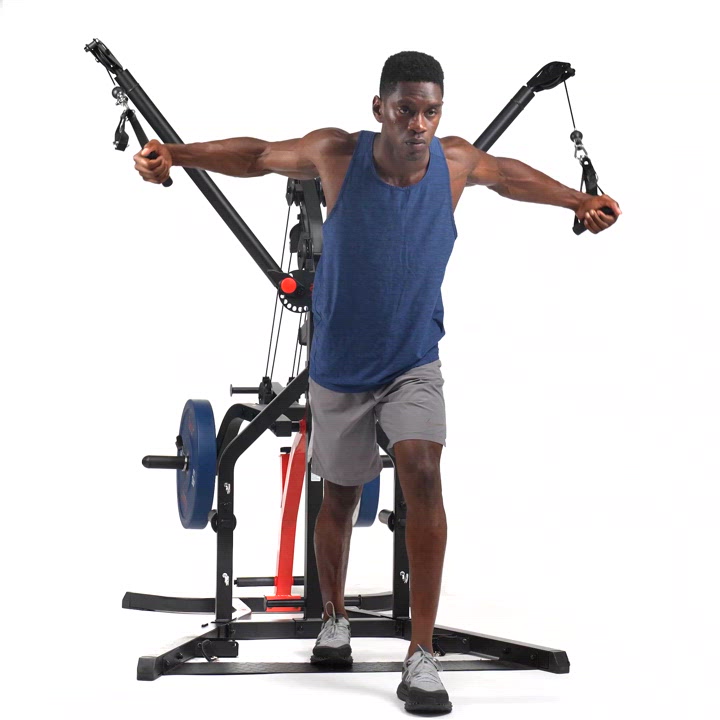 Sunny Health & Fitness Home Gym                                                                                                  - view number 7