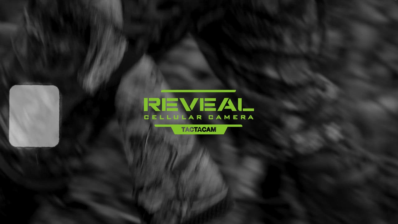 Tactacam Battery Belt - view number 8