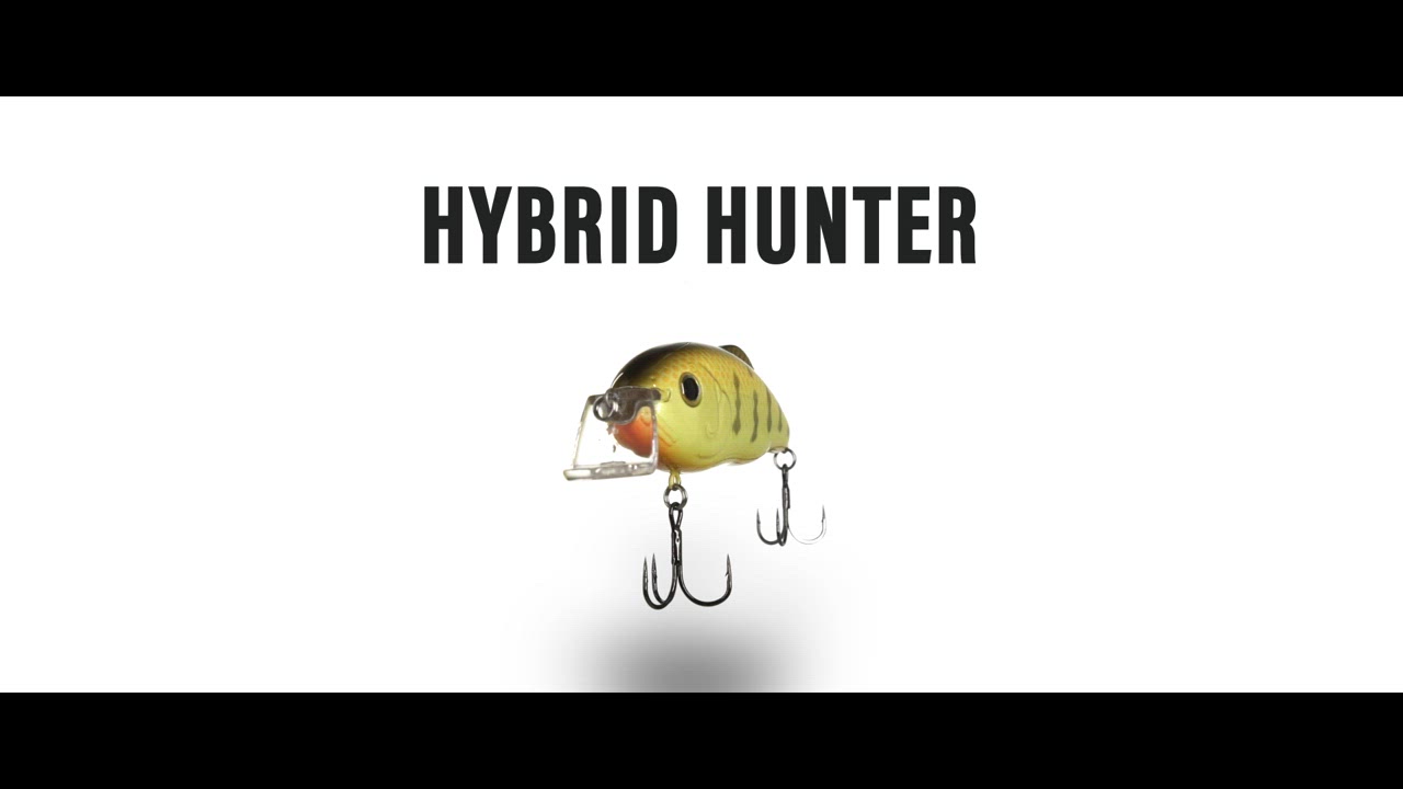 Strike King Hybrid Hunter Jr 3 in Crankbait - view number 5