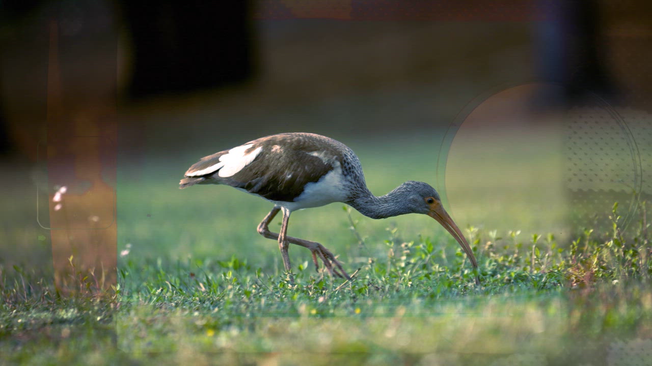 Zebco Roam Spincast Combo - view number 8