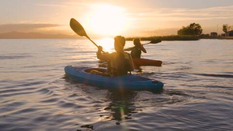 Lifetime Lotus 8' Sit-On-Top Kayak - view number 8