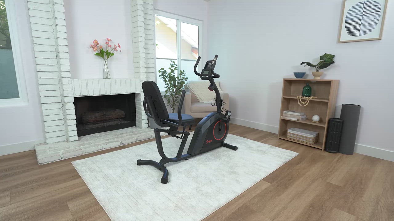 Sunny Health & Fitness Smart Manual Magnetic Recumbent Bike                                                                      - view number 2